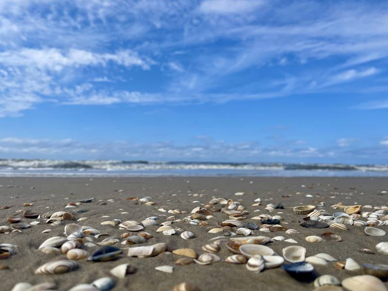 Strandjutten in Callantsoog